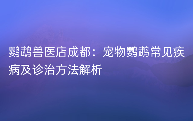 鹦鹉兽医店成都：宠物鹦鹉常见疾病及诊治方法解析