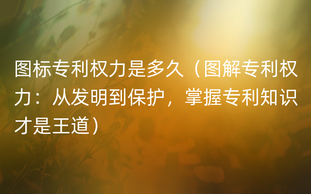 图标专利权力是多久（图解专利权力：从发明到保护，掌握专利知识才是王道）