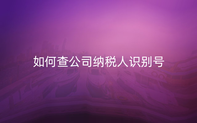 如何查公司纳税人识别号