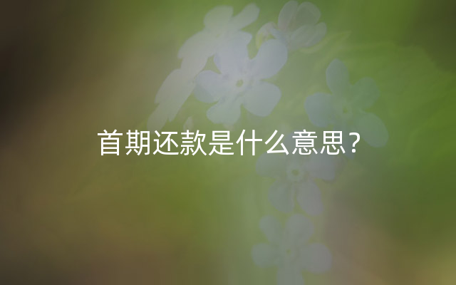 首期还款是什么意思？