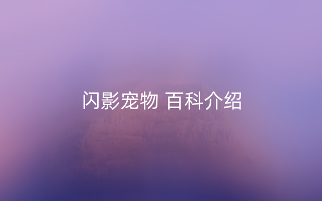 闪影宠物 百科介绍