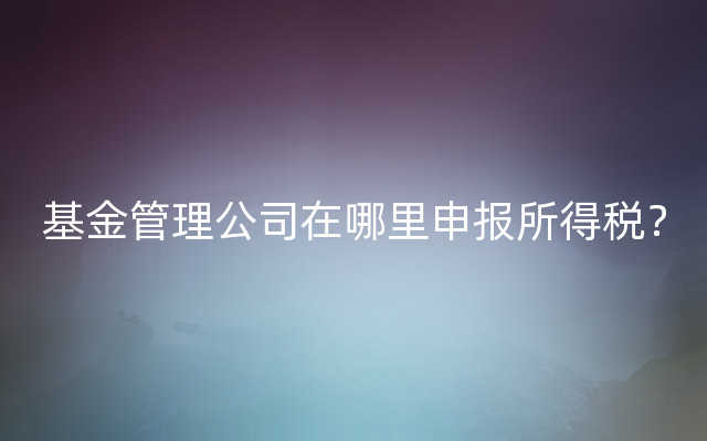 基金管理公司在哪里申报所得税？