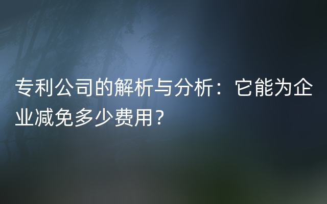 专利公司的解析与分析：它能为企业减免多少费用？