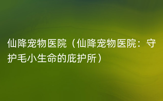 仙降宠物医院（仙降宠物医院：守护毛小生命的庇护所）