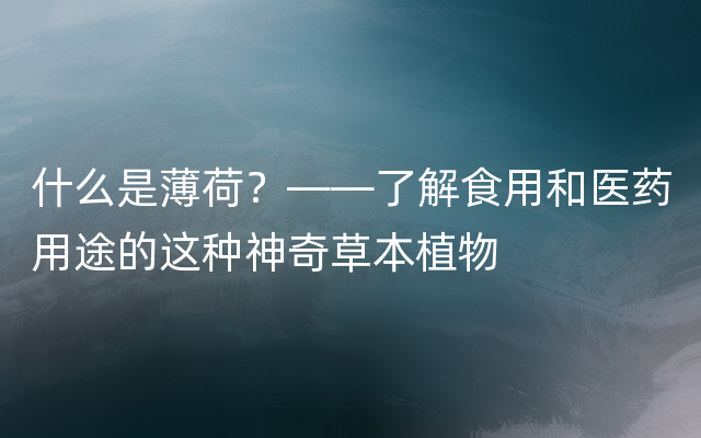 什么是薄荷？——了解食用和医药用途的这种神奇草本植物