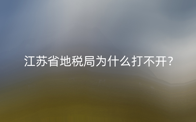 江苏省地税局为什么打不开？