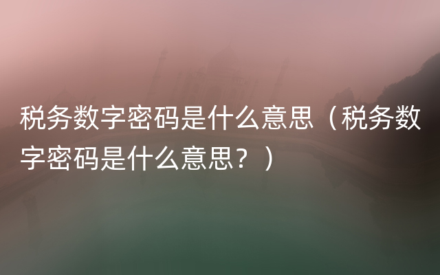 税务数字密码是什么意思（税务数字密码是什么意思？）