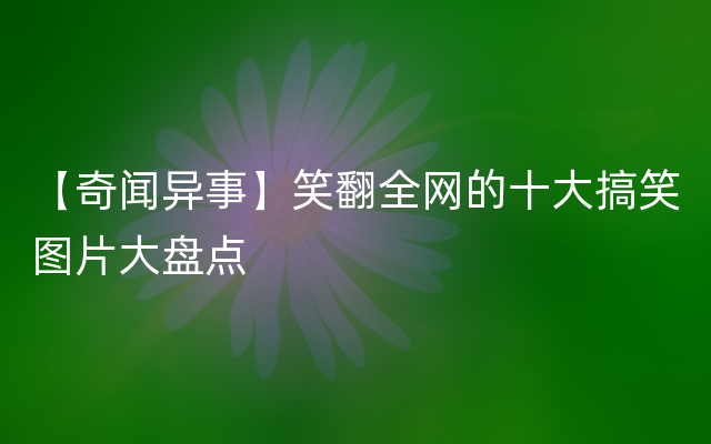 【奇闻异事】笑翻全网的十大搞笑图片大盘点