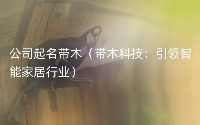 公司起名带木（带木科技：引领智能家居行业）