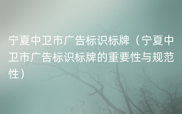 宁夏中卫市广告标识标牌（宁夏中卫市广告标识标牌的重要性与规范性）