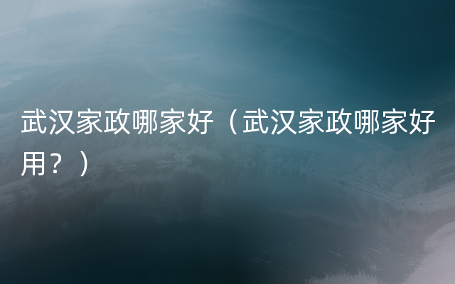 武汉家政哪家好（武汉家政哪家好用？）