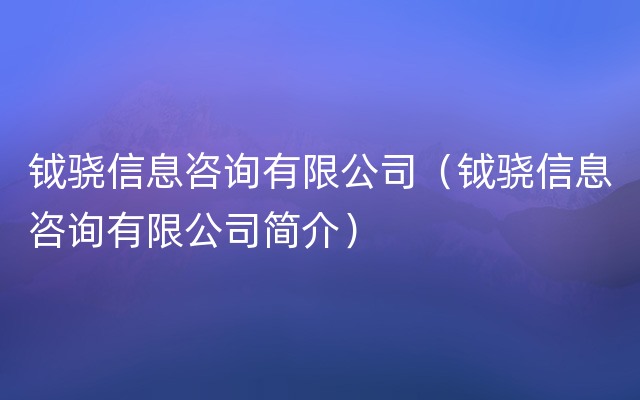 钺骁信息咨询有限公司（钺骁信息咨询有限公司简介）