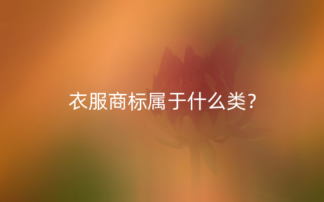 衣服商标属于什么类？