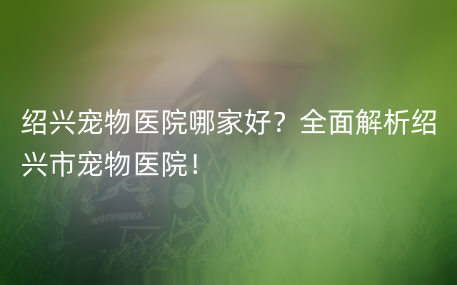 绍兴宠物医院哪家好？全面解析绍兴市宠物医院！