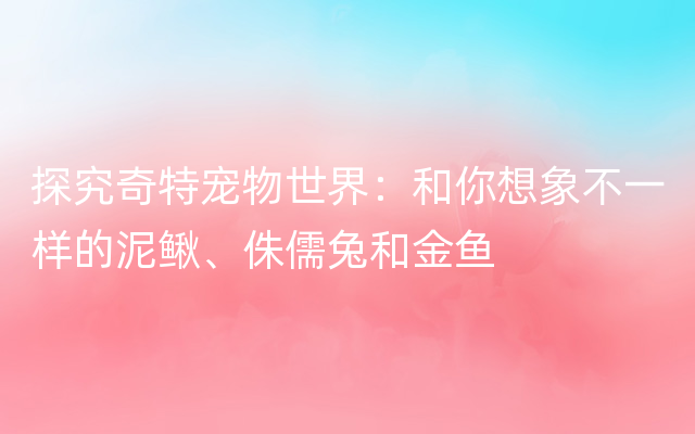 探究奇特宠物世界：和你想象不一样的泥鳅、侏儒兔和金鱼