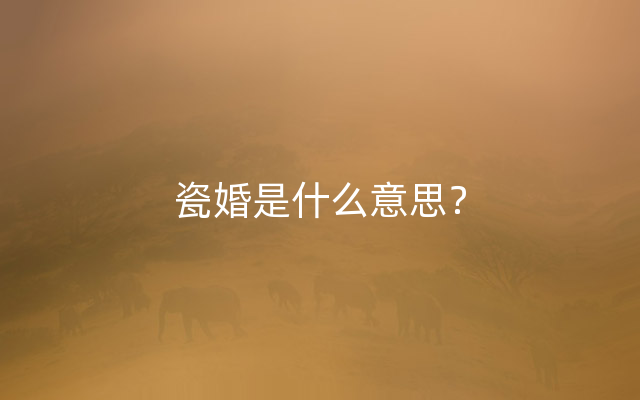 瓷婚是什么意思？