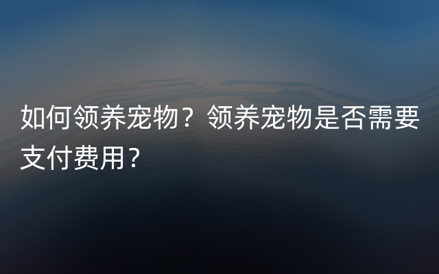 如何领养宠物？领养宠物是否需要支付费用？