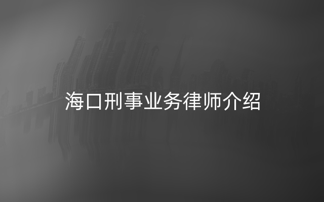 海口刑事业务律师介绍