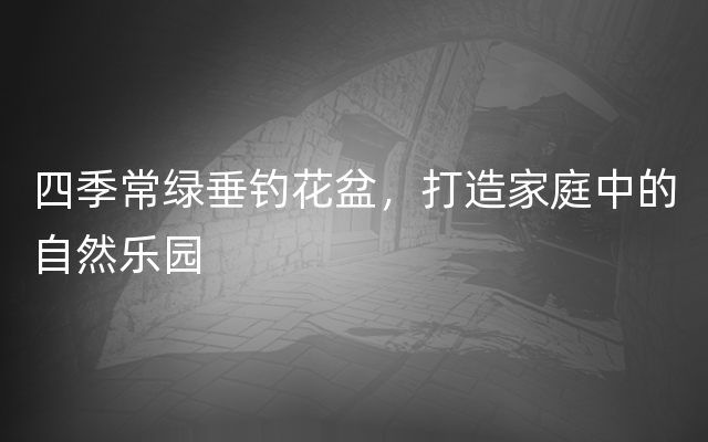 四季常绿垂钓花盆，打造家庭中的自然乐园