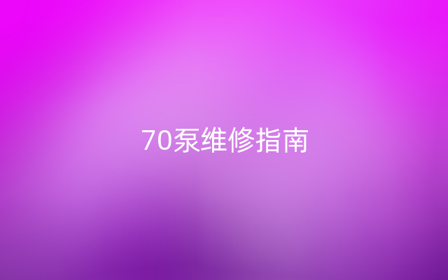 70泵维修指南