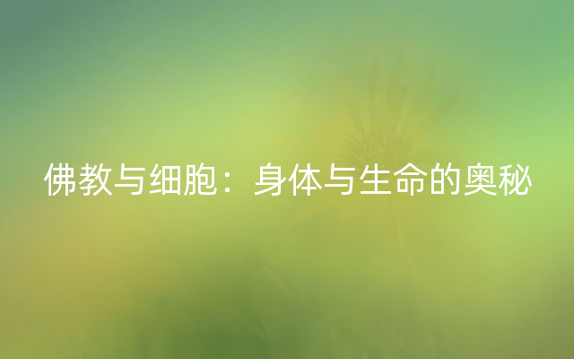 佛教与细胞：身体与生命的奥秘