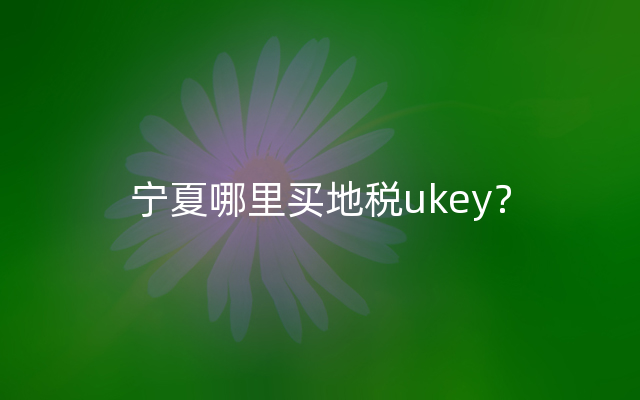 宁夏哪里买地税ukey？