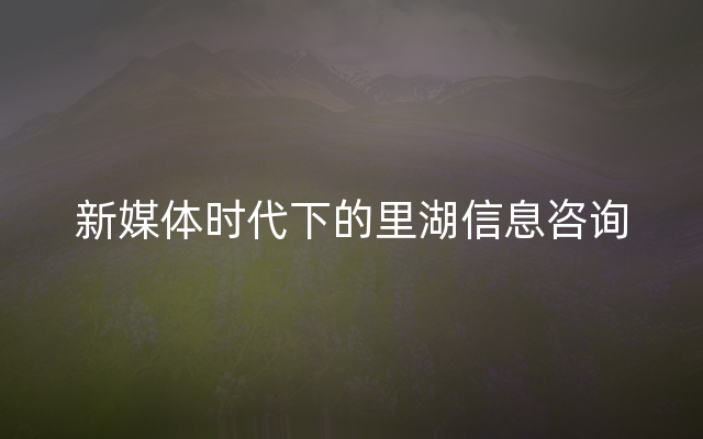 新媒体时代下的里湖信息咨询