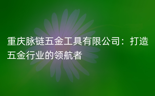 重庆脉链五金工具有限公司：打造五金行业的领航者