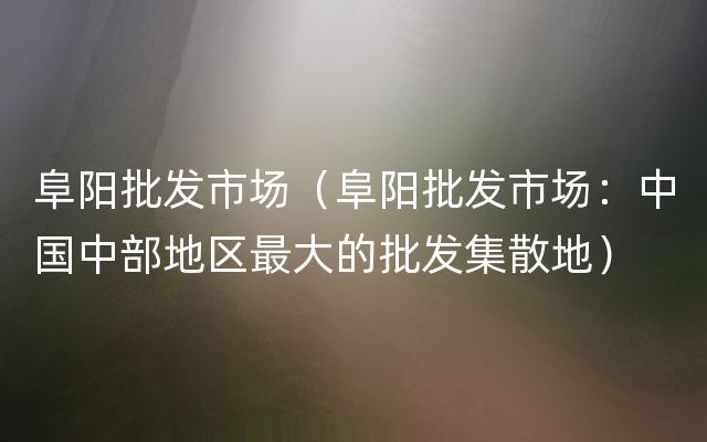 阜阳批发市场（阜阳批发市场：中国中部地区最大的批发集散地）