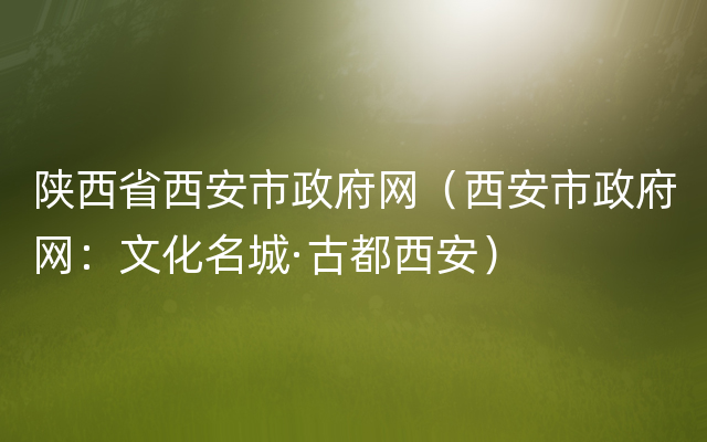 陕西省西安市政府网（西安市政府网：文化名城·古都西安）