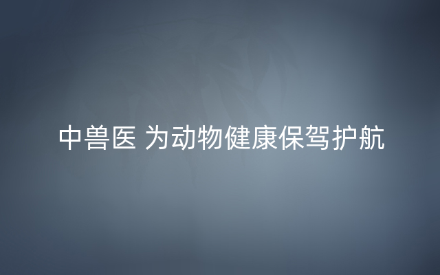 中兽医 为动物健康保驾护航