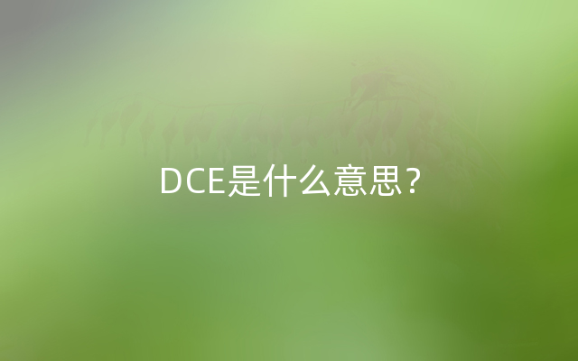 DCE是什么意思？