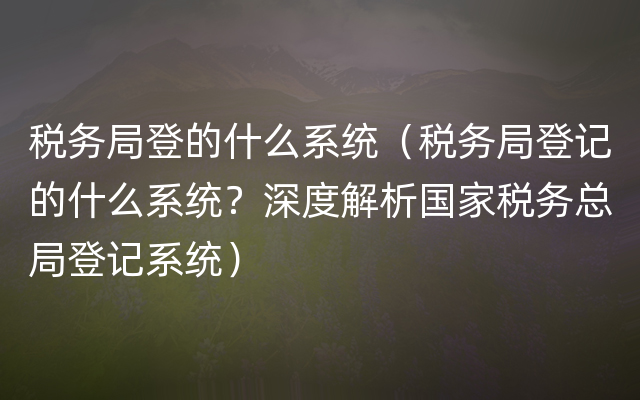 税务局登的什么系统（税务局登记的什么系统？深度解析国家税务总局登记系统）