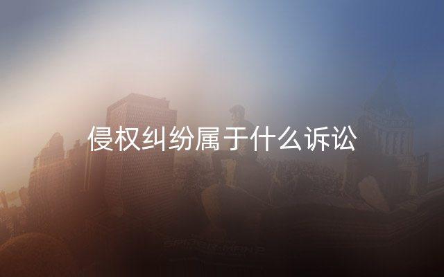 侵权纠纷属于什么诉讼