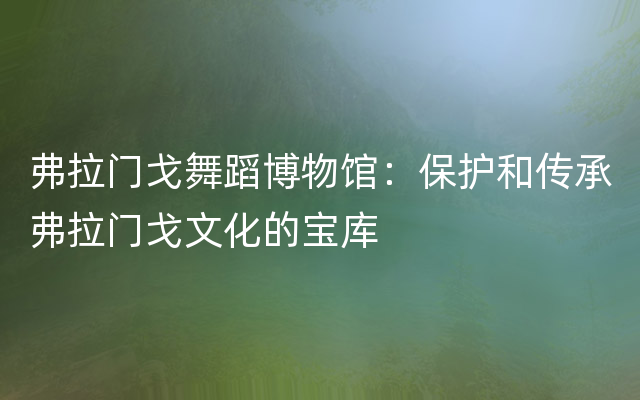 弗拉门戈舞蹈博物馆：保护和传承弗拉门戈文化的宝库