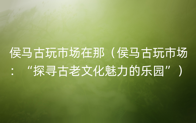 侯马古玩市场在那（侯马古玩市场：“探寻古老文化