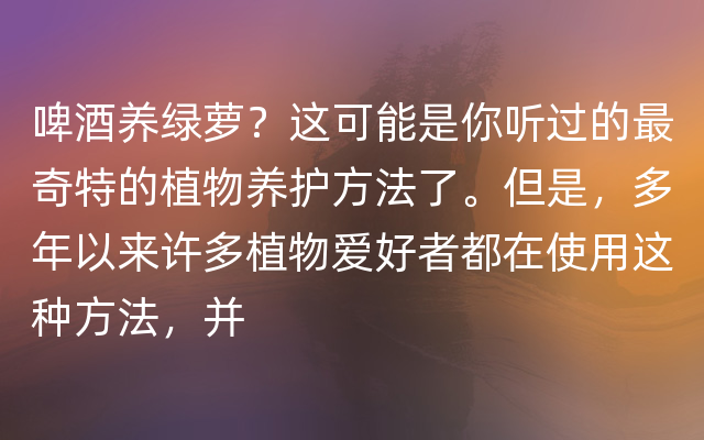 啤酒养绿萝？这可能是你听过的最奇特的植物养护方法了。但是，多年以来许多植物爱好者