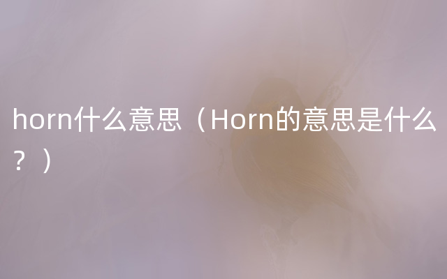 horn什么意思（Horn的意思是什么？）