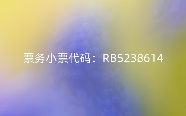 票务小票代码：RB5238614