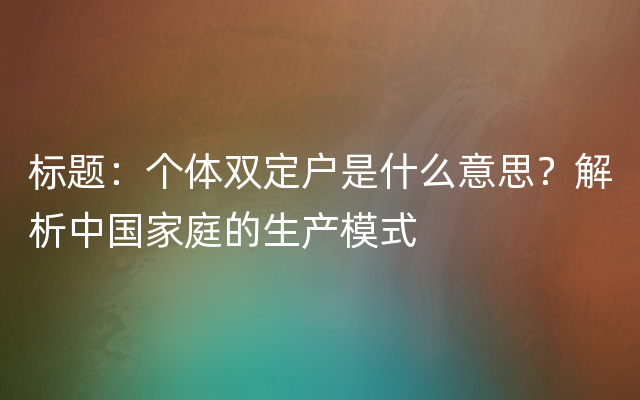 标题：个体双定户是什么意思？解析中国家庭的生产模式