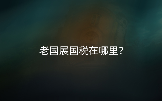 老国展国税在哪里？