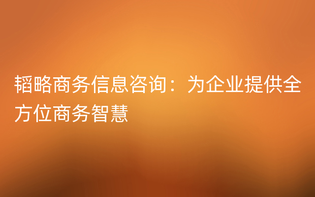 韬略商务信息咨询：为企业提供全方位商务智慧