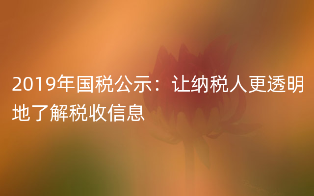 2019年国税公示：让纳税人更透明地了解税收信息