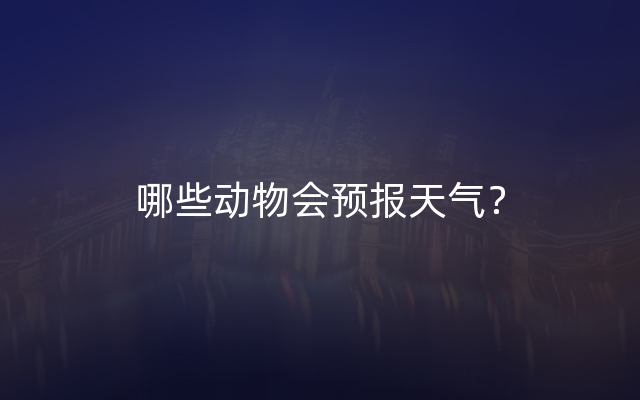 哪些动物会预报天气？