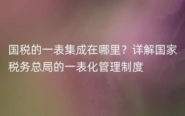 国税的一表集成在哪里？详解国家税务总局的一表化管理制度