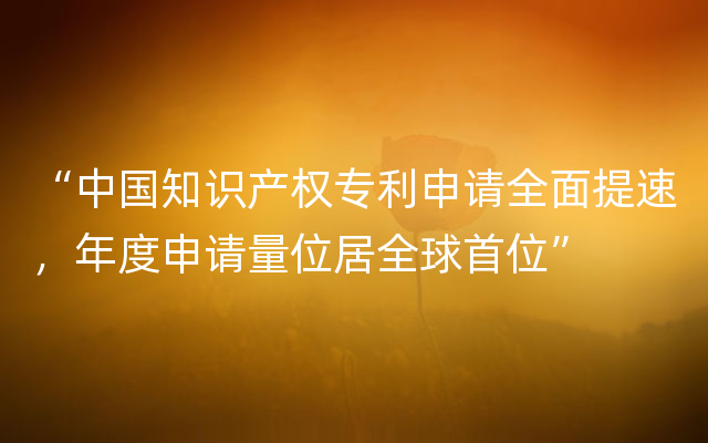 “中国知识产权专利申请全面提速，年度申请量位居全球首位”