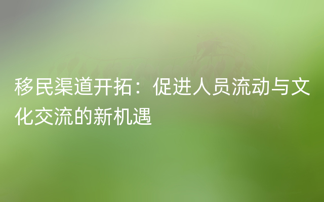 移民渠道开拓：促进人员流动与文化交流的新机遇