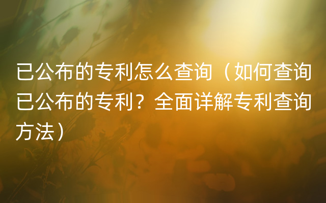 已公布的专利怎么查询（如何查询已公布的专利？全面详解专利查询方法）