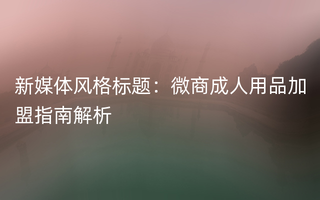 新媒体风格标题：微商成人用品加盟指南解析