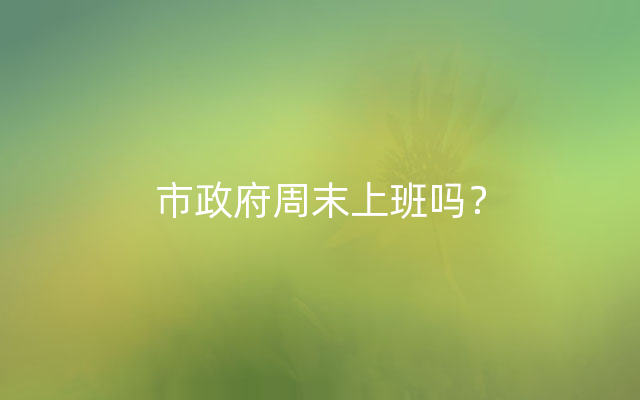 市政府周末上班吗？